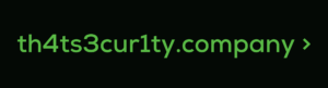 thatsecuritycompany